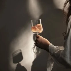 Orrefors Kosta Boda Orrefors Informal Small Wine Glasses Pair 5 Orrefors Kosta Boda Orrefors Informal Small Wine Glasses Pair -wine set shop 6402702 a3