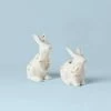 Lenox Butterfly Meadow Bunny Salt And Pepper Set -wine set shop 893456L a1
